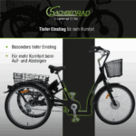 SachsenRad E-Lastenrad T3A Trio Edition 2025 mit Alarmanlage mit LCD Display und StVZO-Zugelassung – Image 6