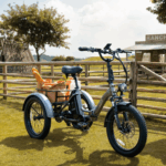 E Bike Dreirad Fat Klapprad E-Bike Lastenfahrrad 20 Zoll 48V 21Ah , Hydraulische Scheibenbremsen Elektrofahrrad, Elektro Lastenfahrrad 180kg Blau – Image 2