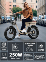 E-Bike Herren Damen Elektrofahrrad, Elektrofahrräder, 20 Zoll , 18AH Off-Road Bike mit 7-Gang-Schaltung 250W 25KMH Ebike 65 Nm E BIKE – Image 8