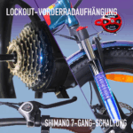 20 Zoll 18AH Elektrofahrrad Pedelec, City E-bike ,Cityräder E-Klapprad 250W Motor,25km/h,E-Bike ,klapprad,LCD-Display,APP – Image 9