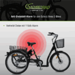 SachsenRad E-Lastenrad T3A Trio Edition 2025 mit Alarmanlage mit LCD Display und StVZO-Zugelassung – Image 7