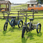 E Bike Dreirad Fat Klapprad E-Bike Lastenfahrrad 20 Zoll 48V 21Ah , Hydraulische Scheibenbremsen Elektrofahrrad, Elektro Lastenfahrrad 180kg Blau – Image 3