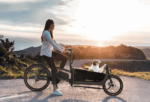 SachsenRAD E-Lastenrad T10 Caribou, Flexible Transportbox mit Versteckter,Abschließbarer Box mit LCD Display und StVZO-Zugelassung für Kindertransport – Image 4